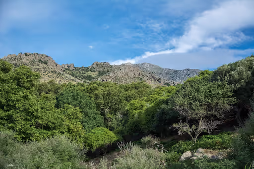 Όρος Σάος (Φεγγάρι), φωτογραφία 11