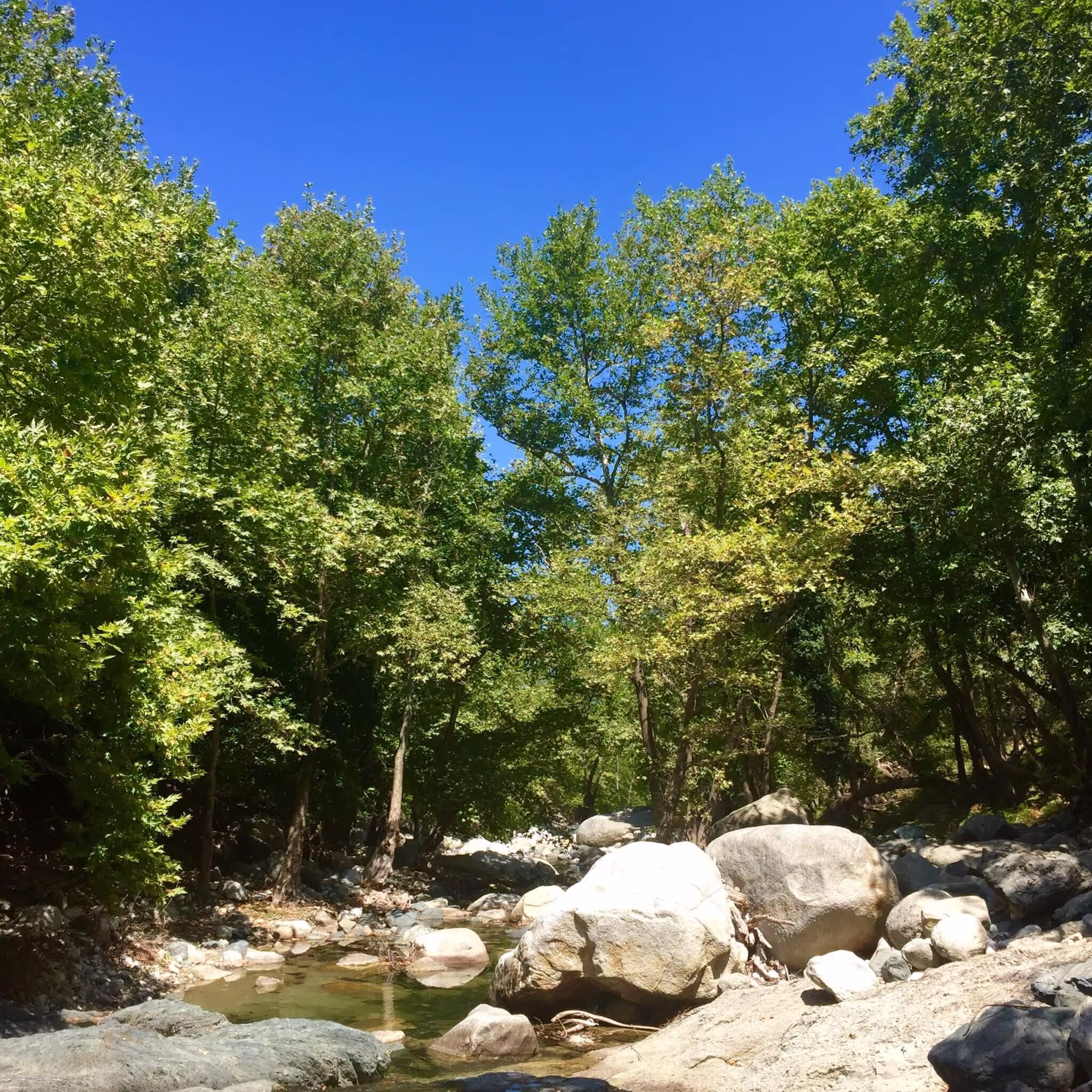 Natural Beauty of Samothraki, photo 7