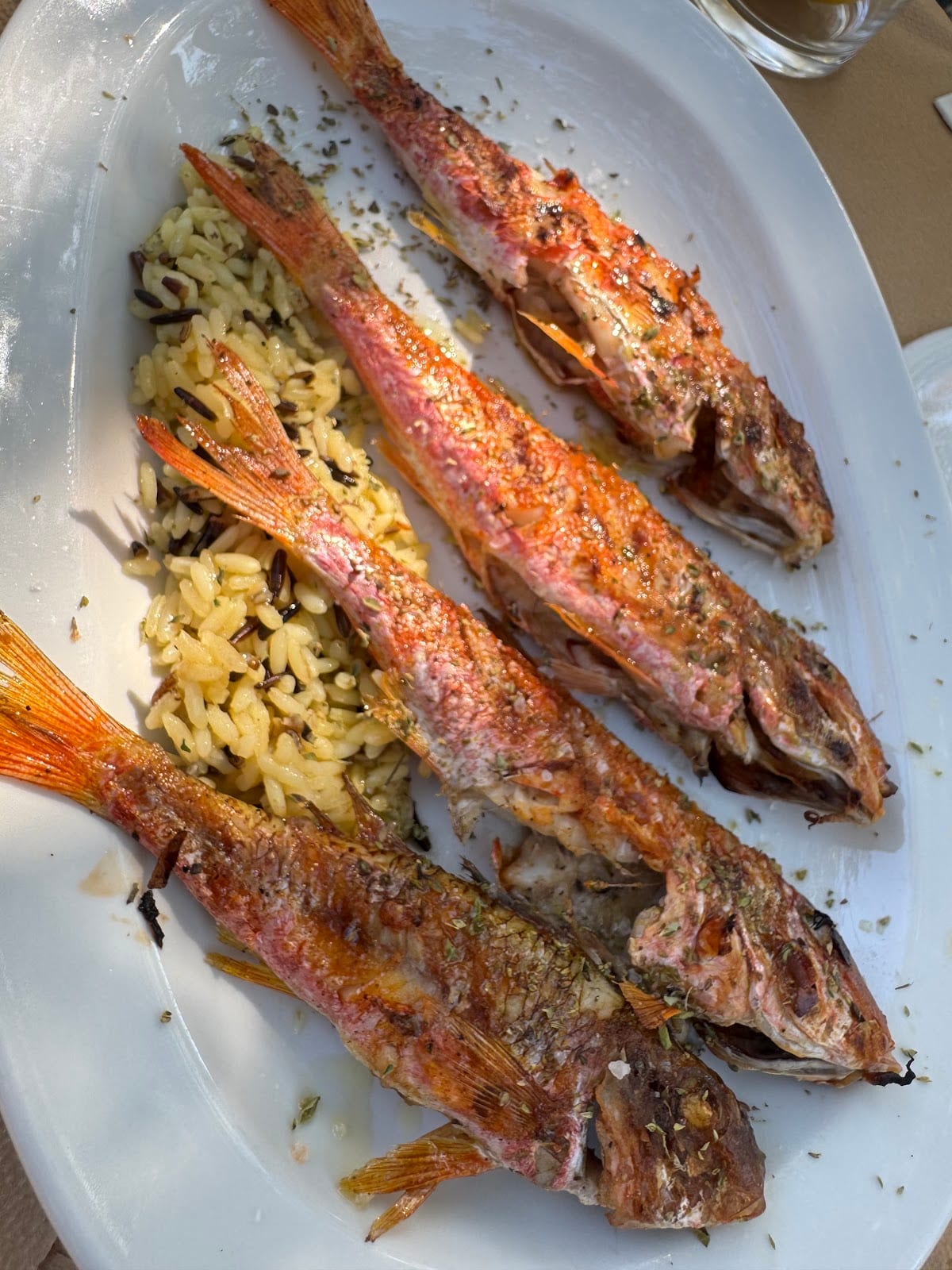 O Psaras Fish Taverna, photo 4