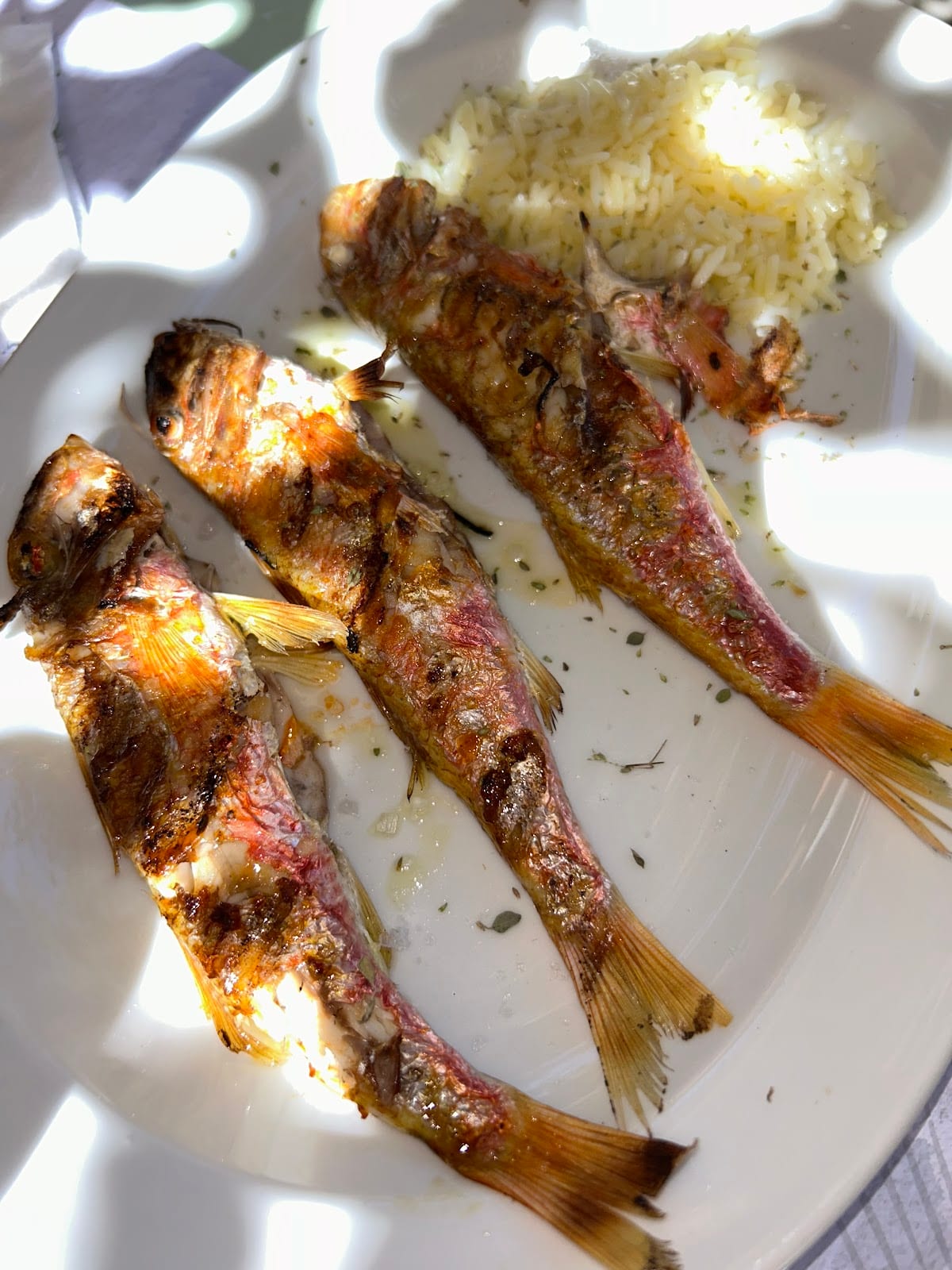 O Psaras Fish Taverna, photo 10