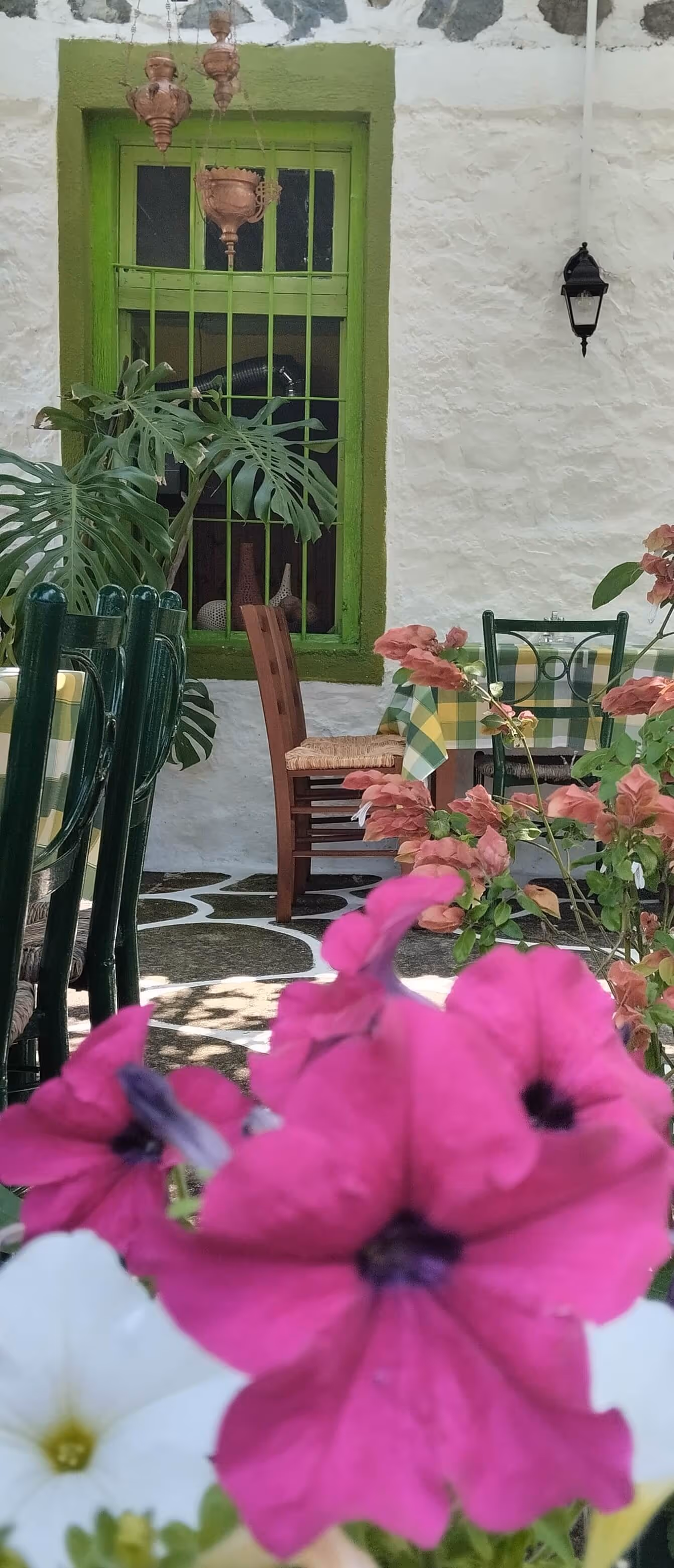 Καφενείο Μεζεδοπωλείο Ο Ξηροπόταμος, φωτογραφία 8