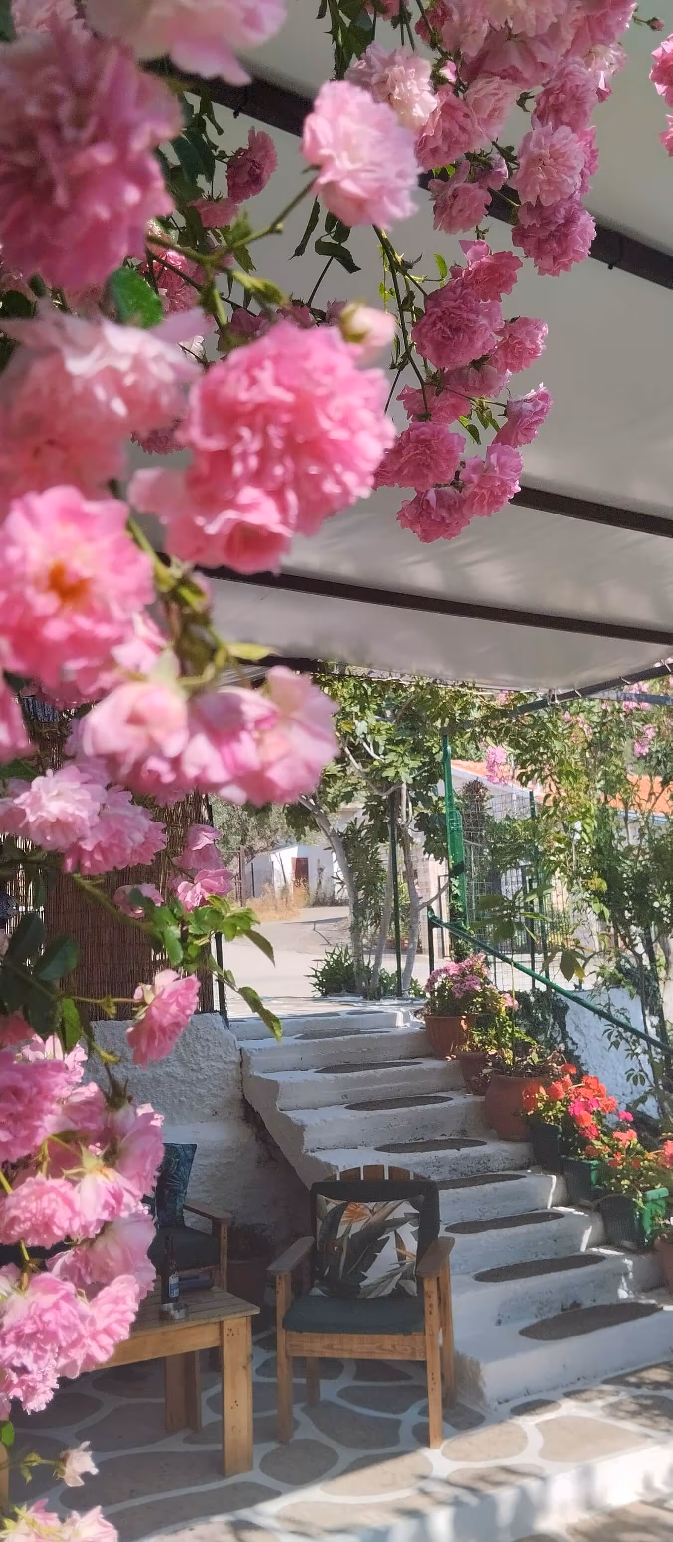 Καφενείο Μεζεδοπωλείο Ο Ξηροπόταμος, φωτογραφία 10