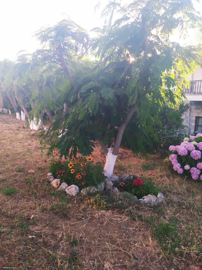 Panorama Palaiοpolis, φωτογραφία 11