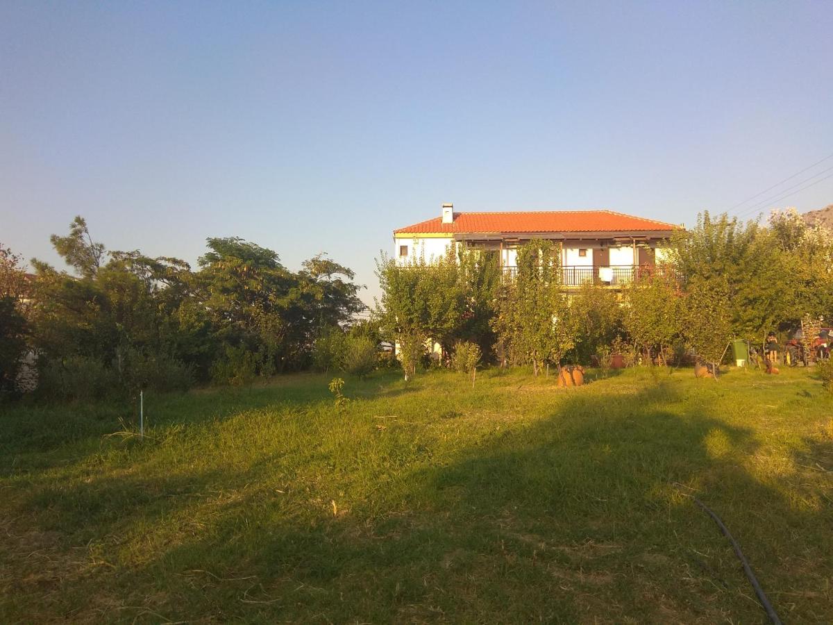 Panorama Palaiοpolis, φωτογραφία 13