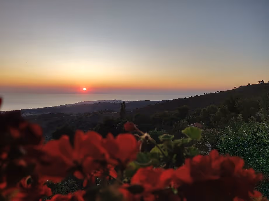 Paradeisos Taverna, photo 15