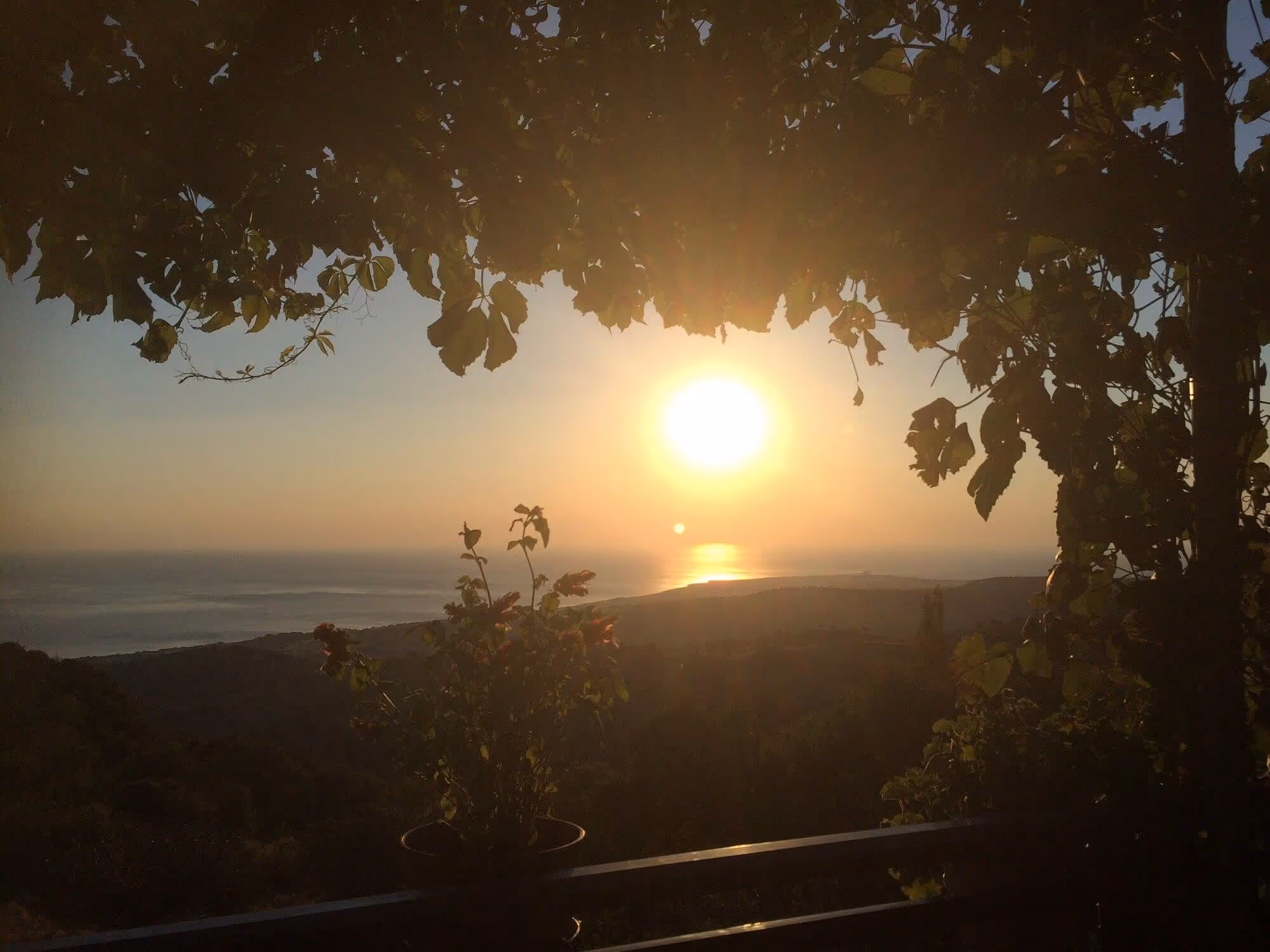 Paradeisos Taverna, photo 16