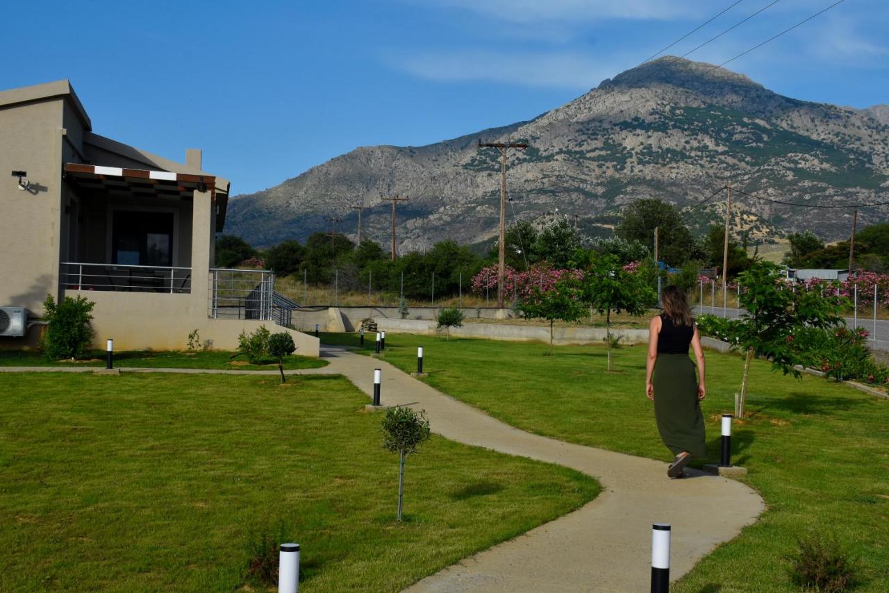 Saonia Apartment, φωτογραφία 4