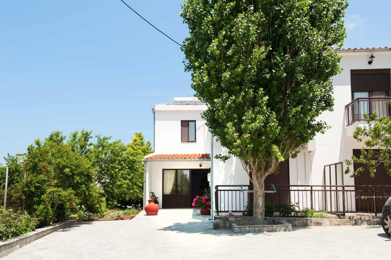 Saonisos, φωτογραφία 9