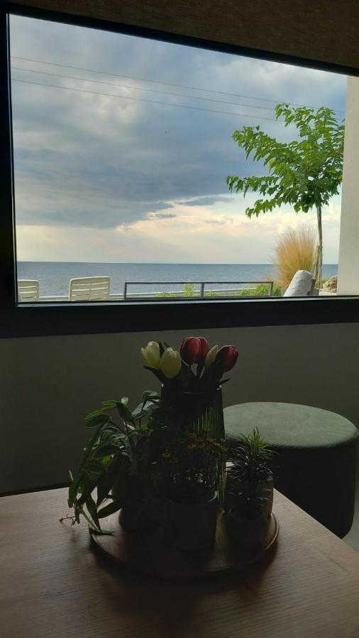 Saos Terra Suites, φωτογραφία 12