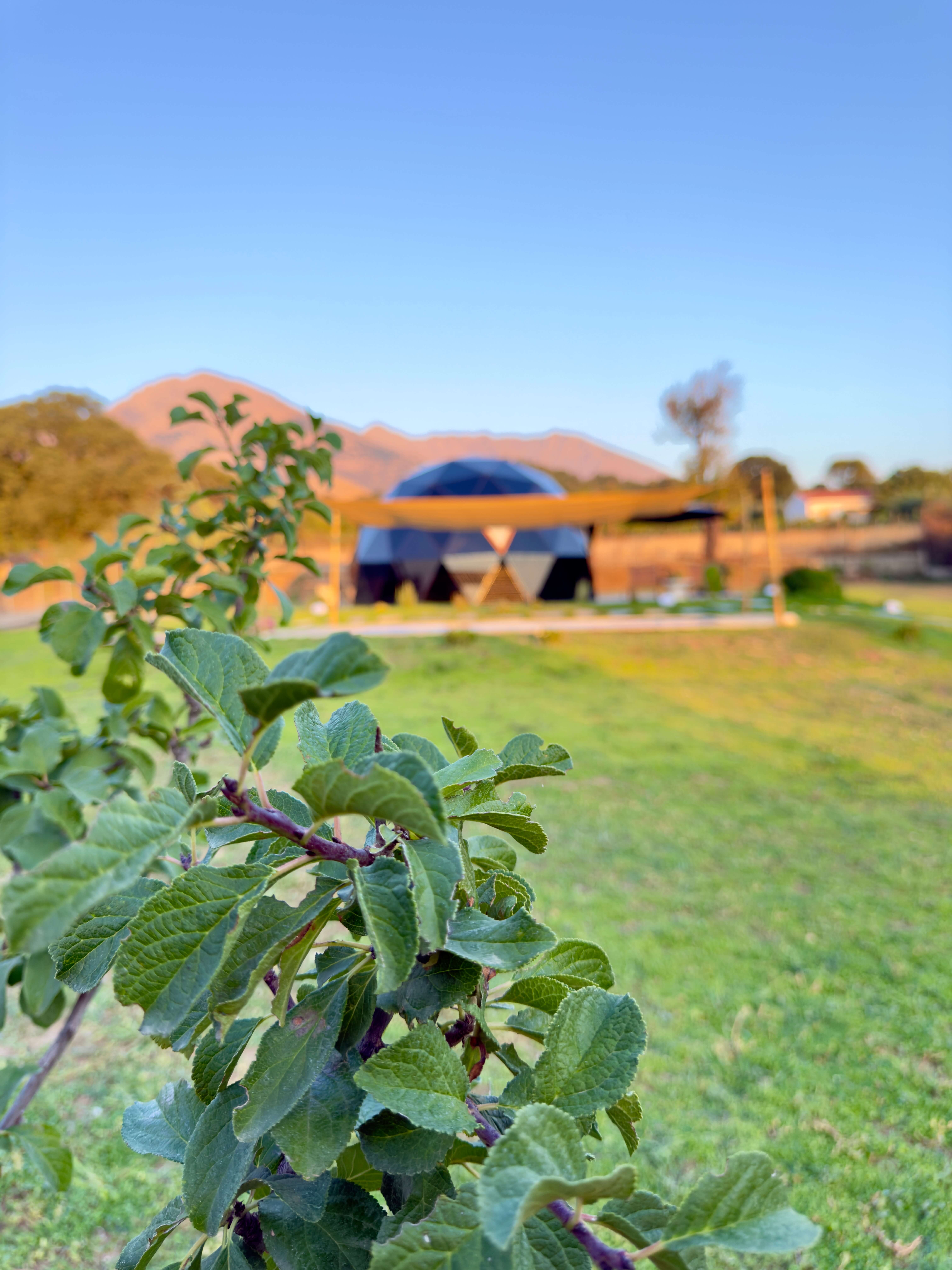 Solar Dome Retreat, φωτογραφία 4