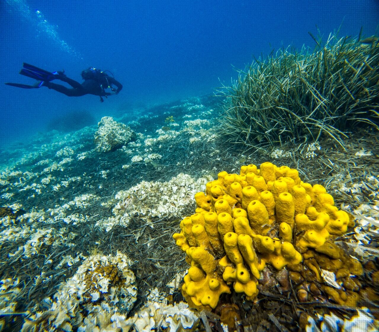 SubSaos Diving Center, photo 11
