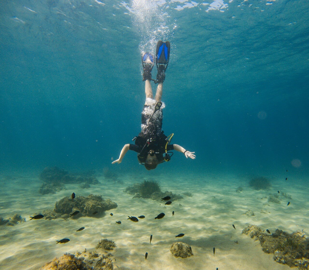 SubSaos Diving Center, photo 12