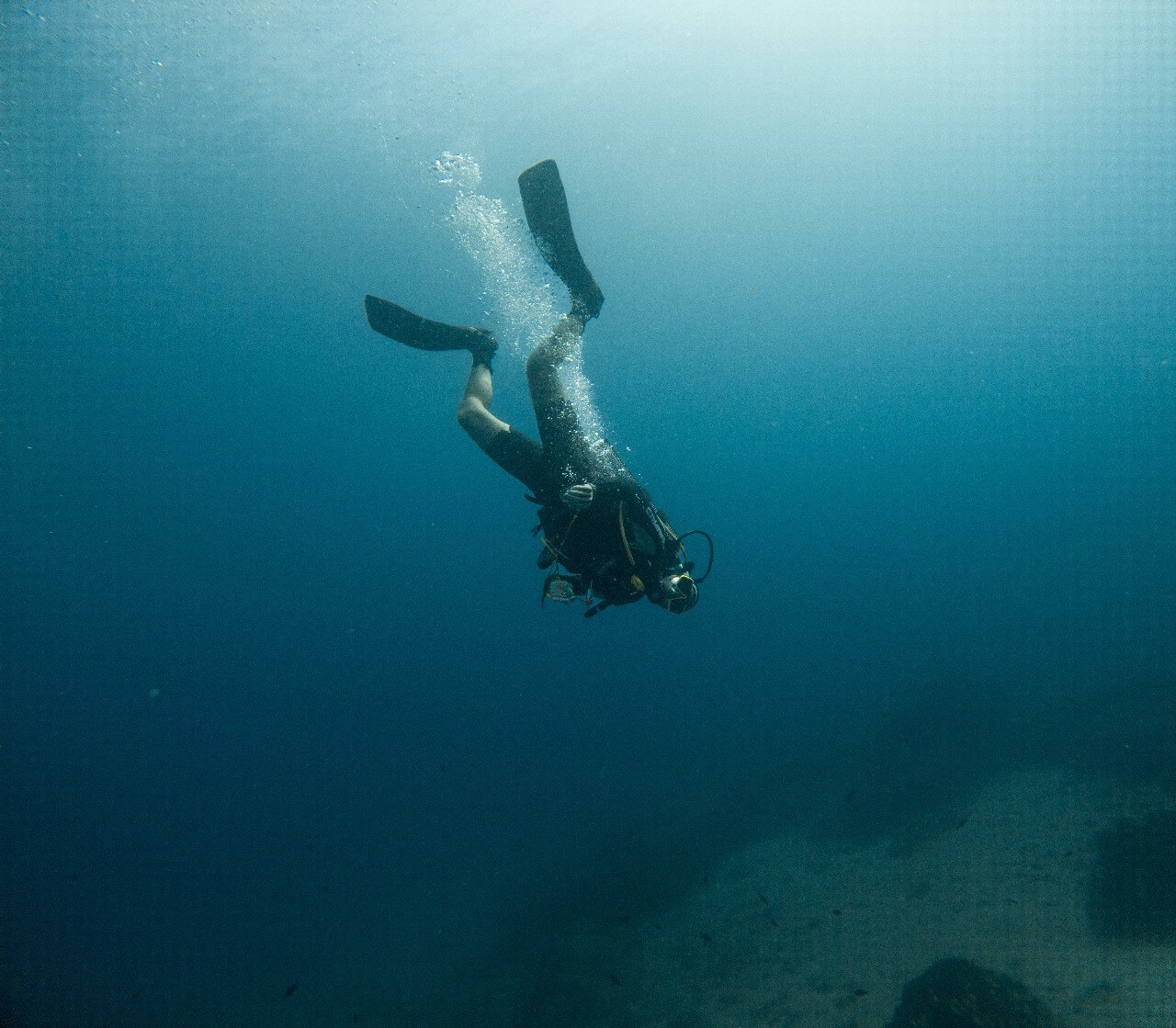 SubSaos Diving Center, photo 14