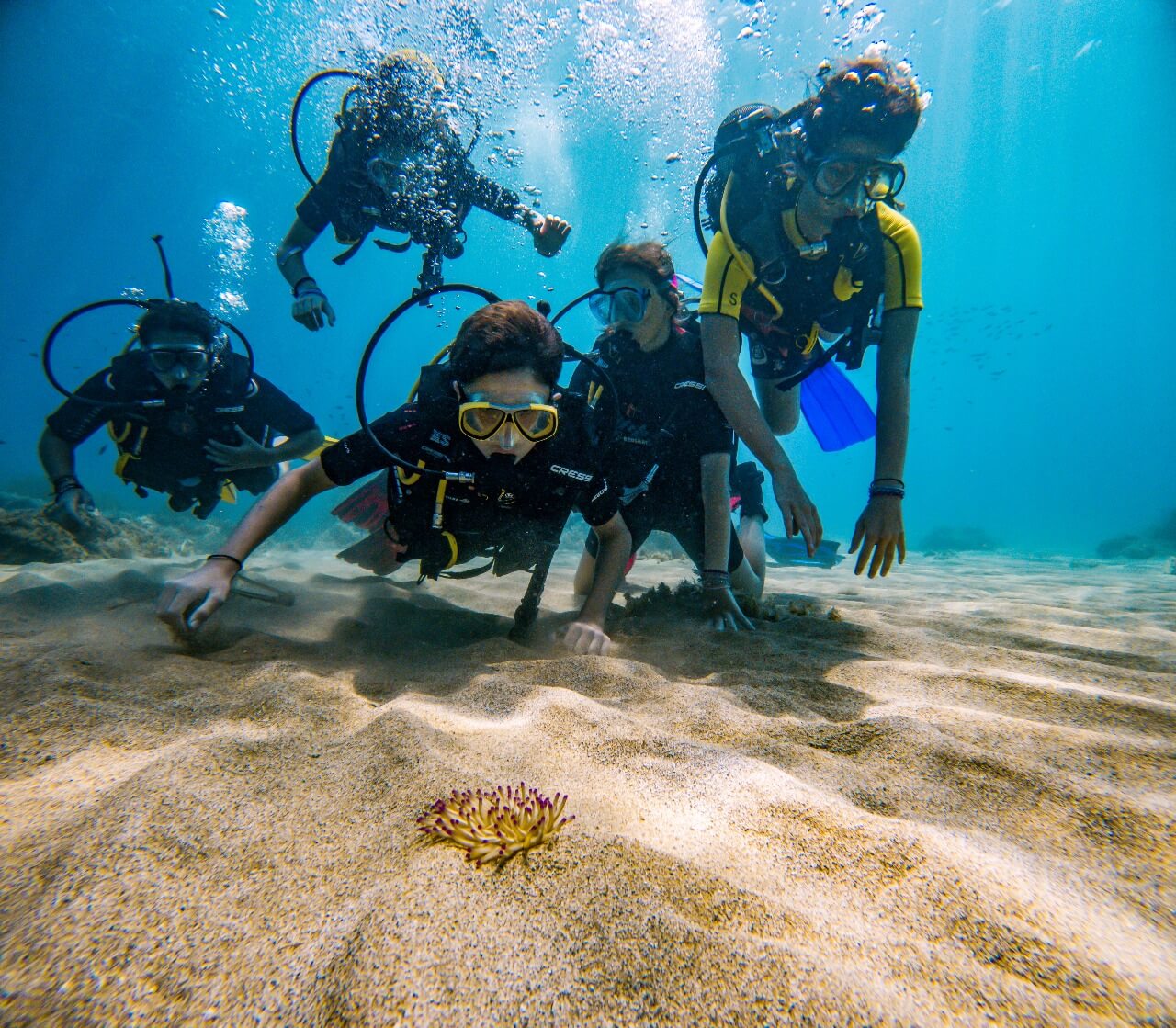 SubSaos Diving Center, photo 16