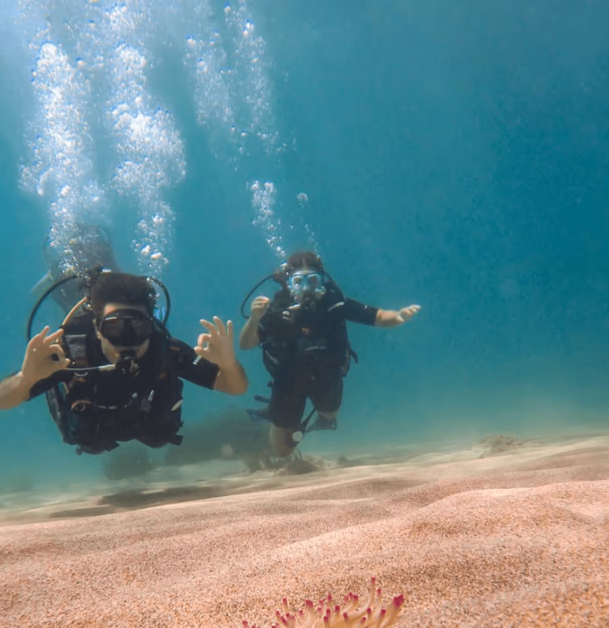 SubSaos Diving Center, photo 9