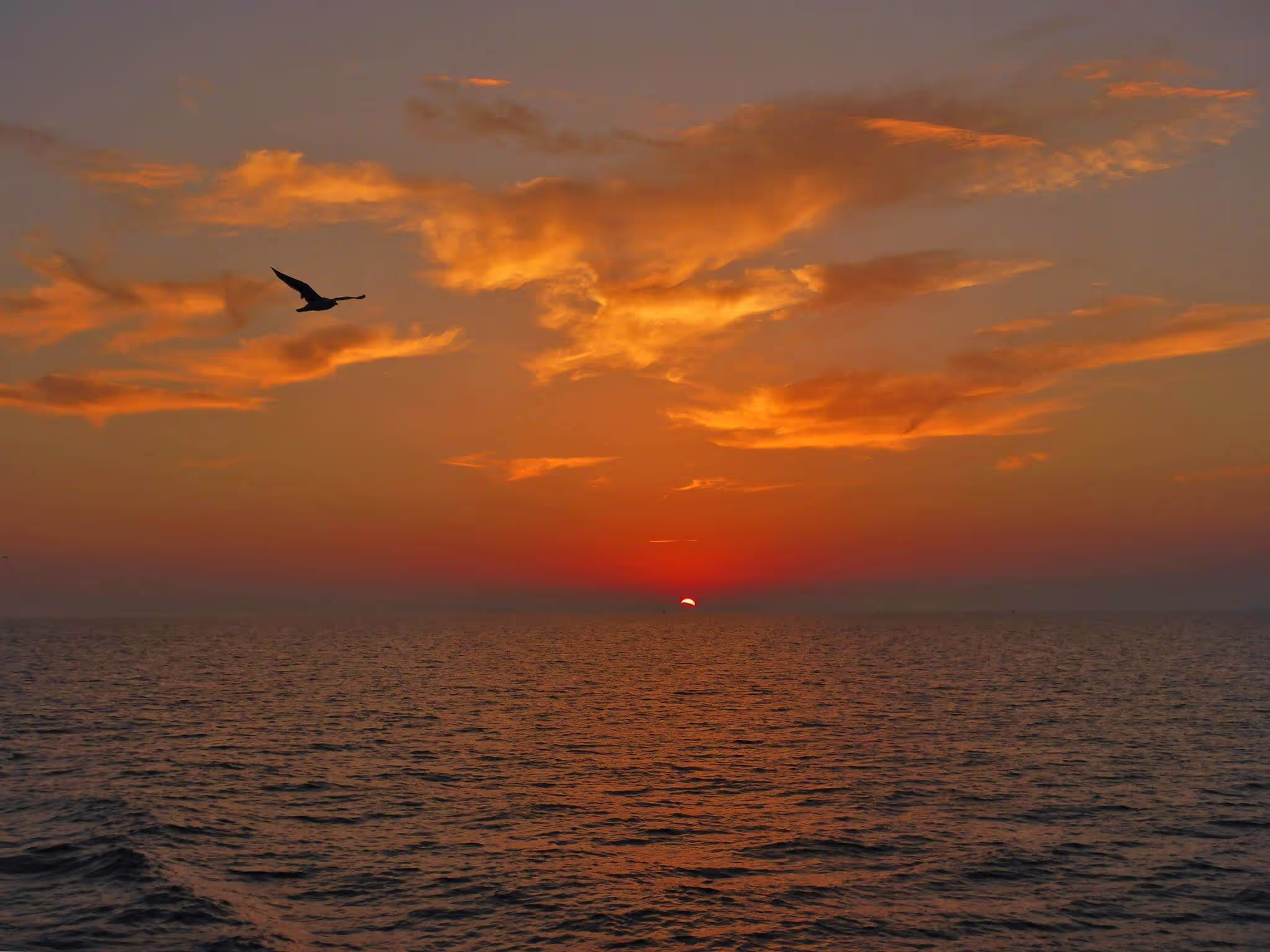 Sunset View at Profitis Ilias Peak, photo 7