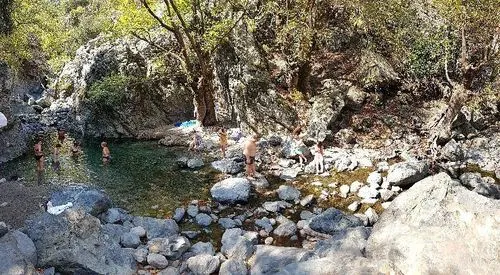 Taverna Gria Vathra, φωτογραφία 8