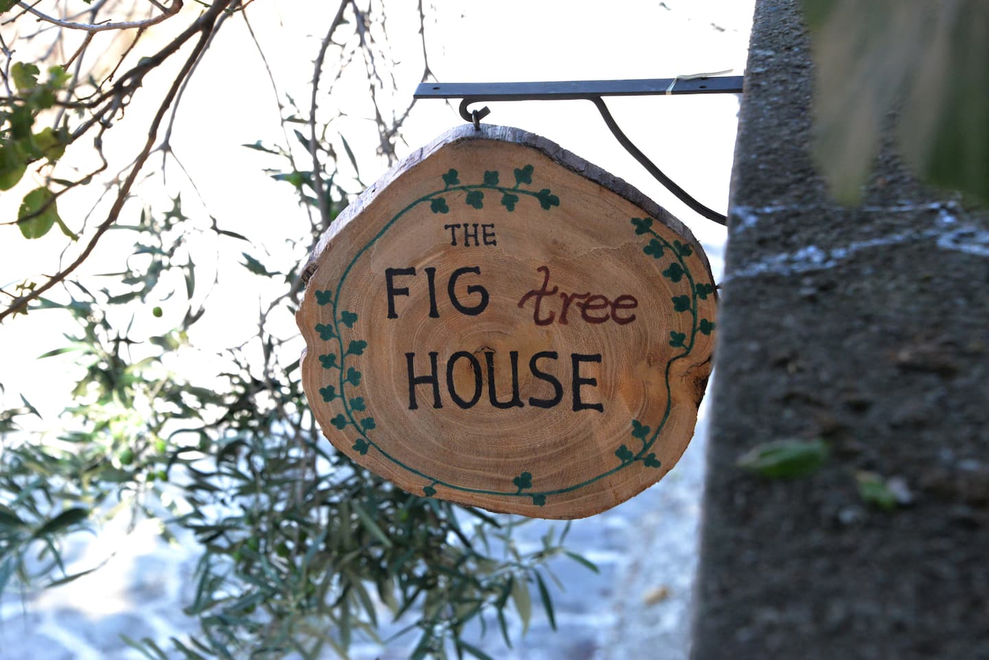 The fig tree house, φωτογραφία 2