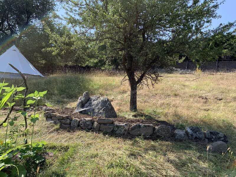 The Olive Oil and Ancient Trees of Samothraki, photo 15