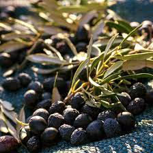 The Olive Oil and Ancient Trees of Samothraki, photo 21