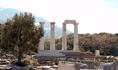 The Olive Oil and Ancient Trees of Samothraki, photo 23