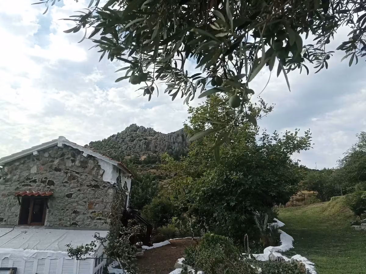 The Olive Oil and Ancient Trees of Samothraki, photo 4