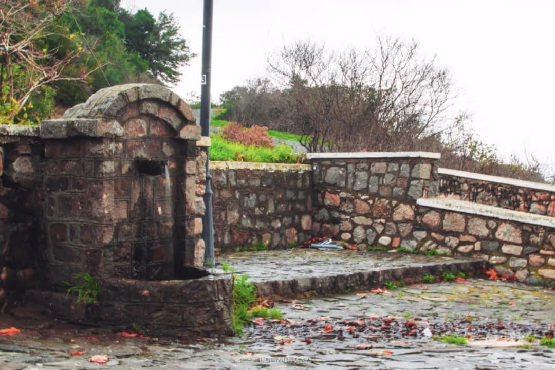 Therma Village, photo 19
