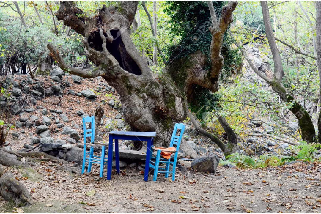 Therma Village, photo 5