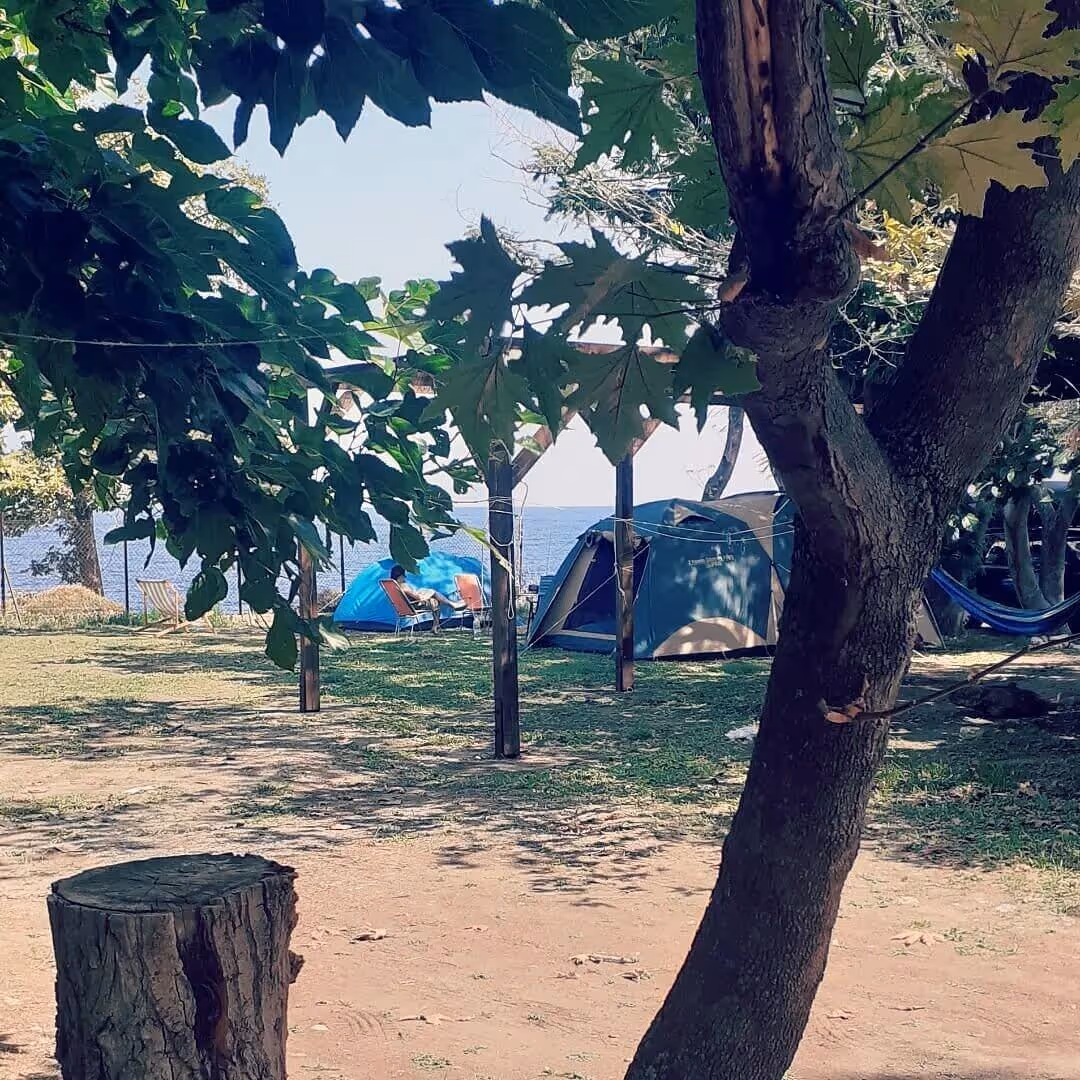 Varades Municipal Camping, photo 19