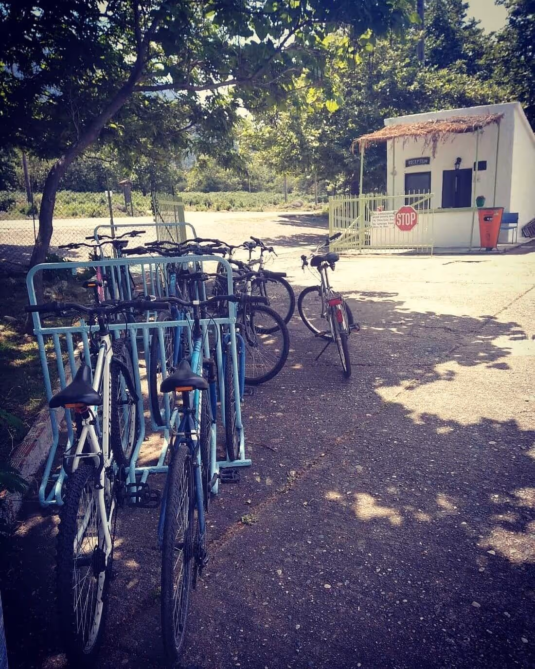 Varades Municipal Camping, photo 3