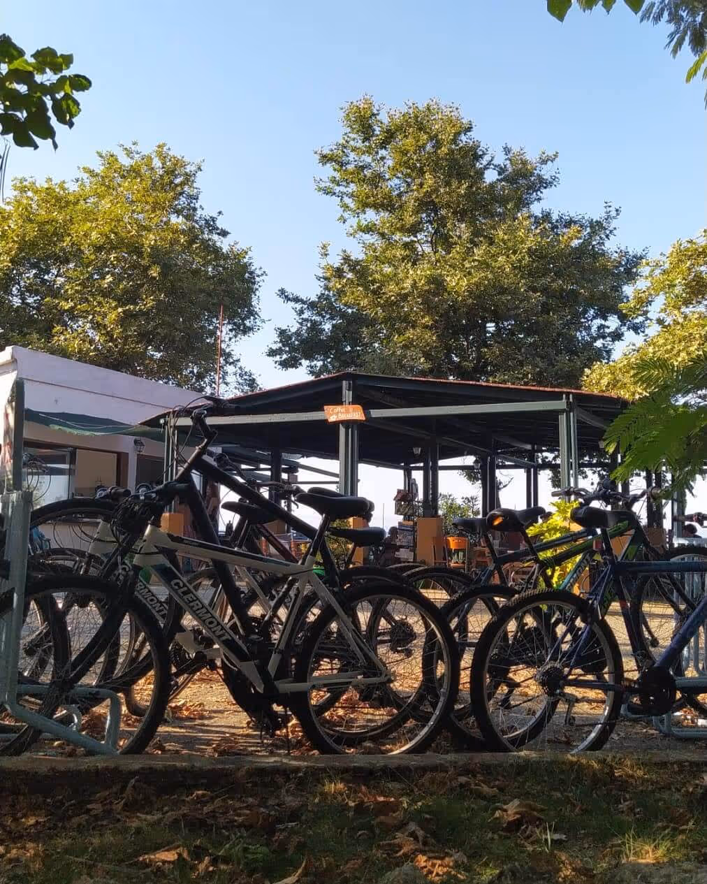 Varades Municipal Camping, photo 9