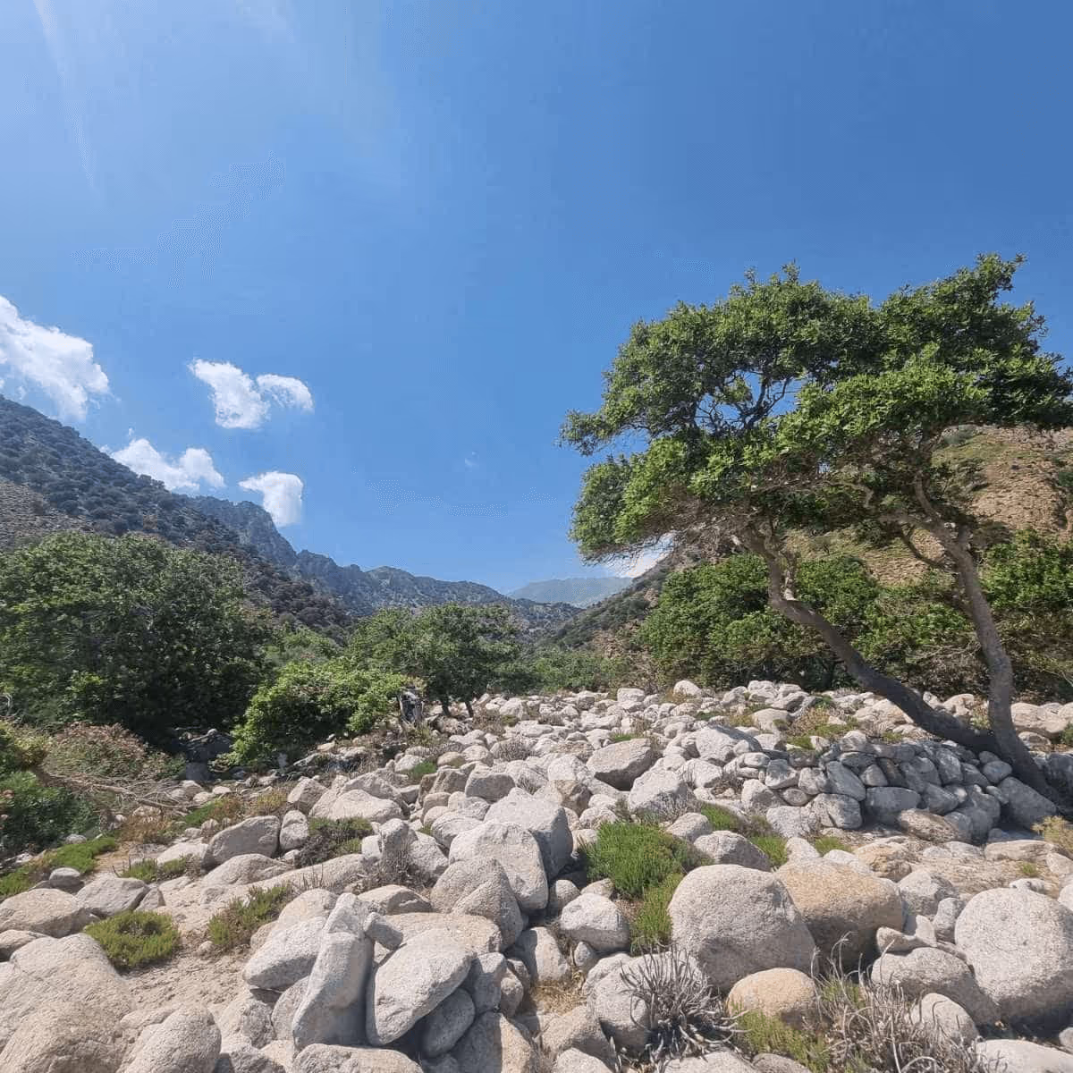 Vatos Beach Samothraki, photo 21