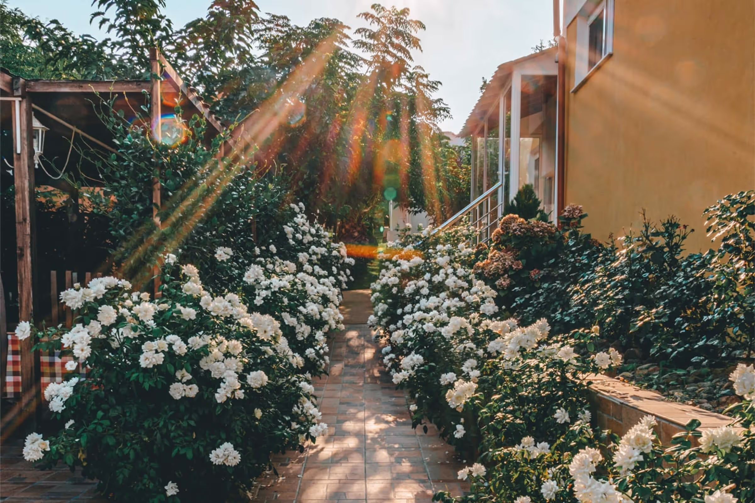 Victory Apartments Hotel, Samothraki