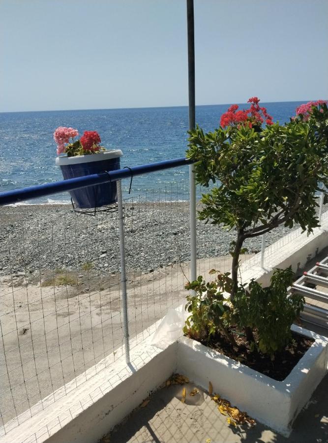 Villa Απέραντο Γαλάζιο, φωτογραφία 11