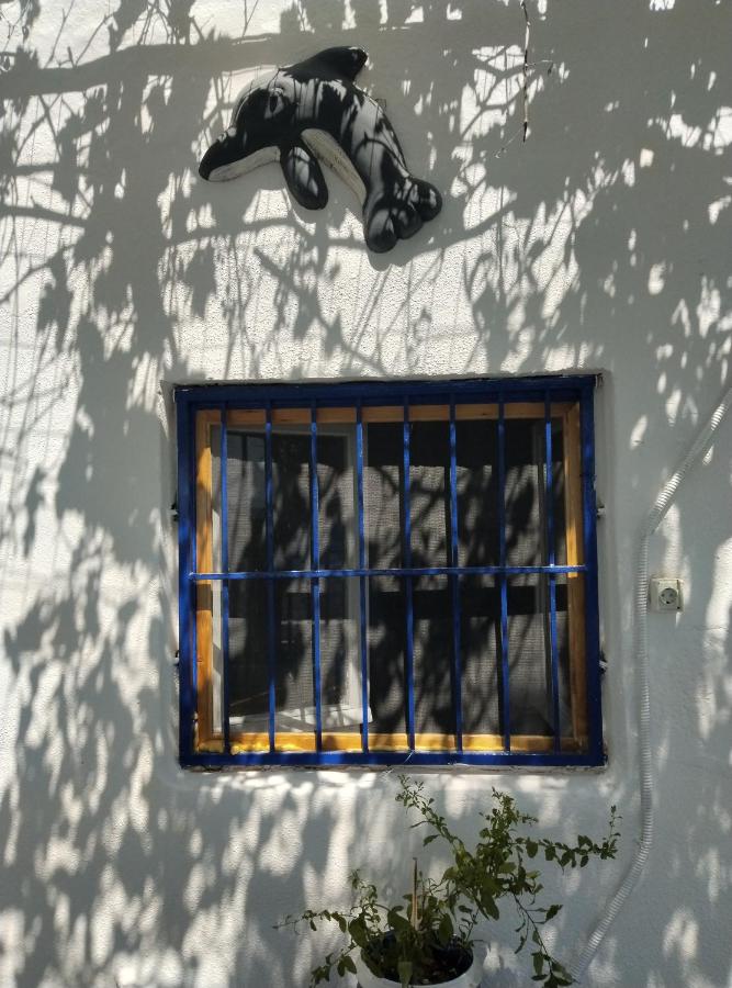 Villa Απέραντο Γαλάζιο, φωτογραφία 10