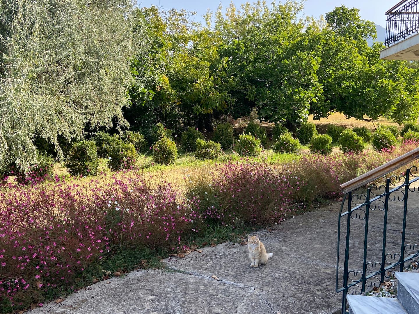 Villa Kamariotissa, photo 14