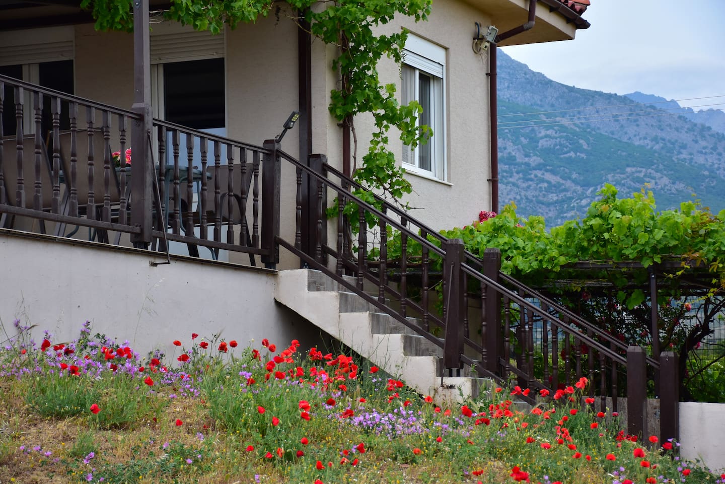 Villa Thanos detached house, φωτογραφία 4