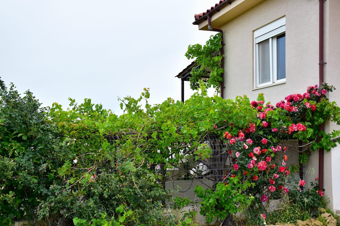 Villa Thanos detached house, φωτογραφία 5