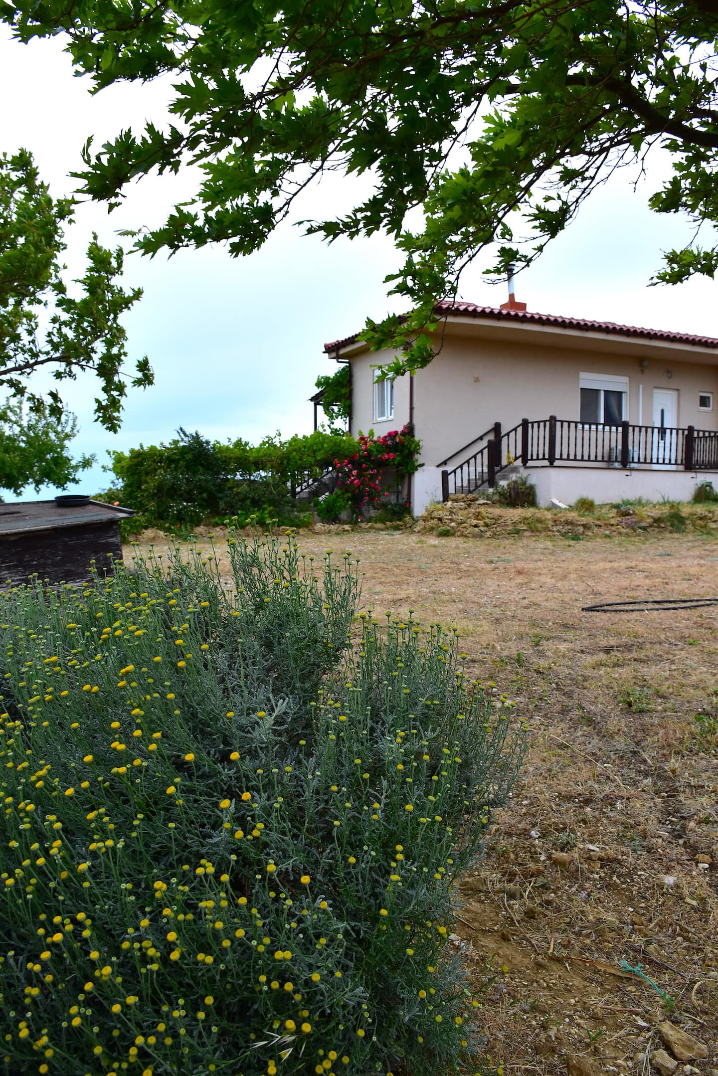 Villa Thanos detached house, φωτογραφία 6