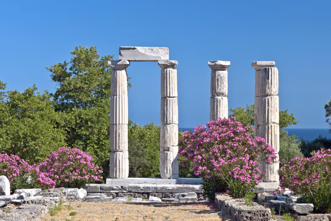 Η Άγρια Ψυχή της Σαμοθράκης, φωτογραφία 4
