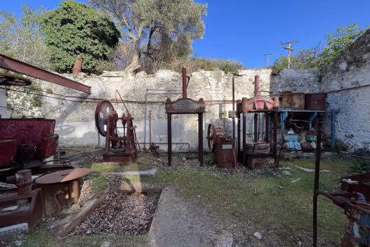Φαράγγι και Μύλοι Ξηροπόταμου, φωτογραφία 24
