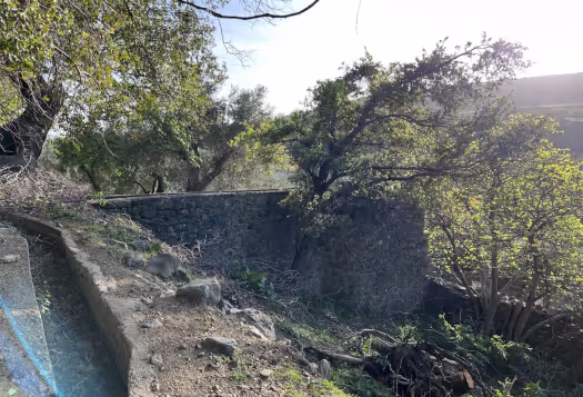 Φαράγγι και Μύλοι Ξηροπόταμου, φωτογραφία 26